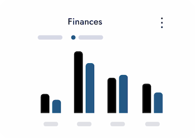 Expense graph